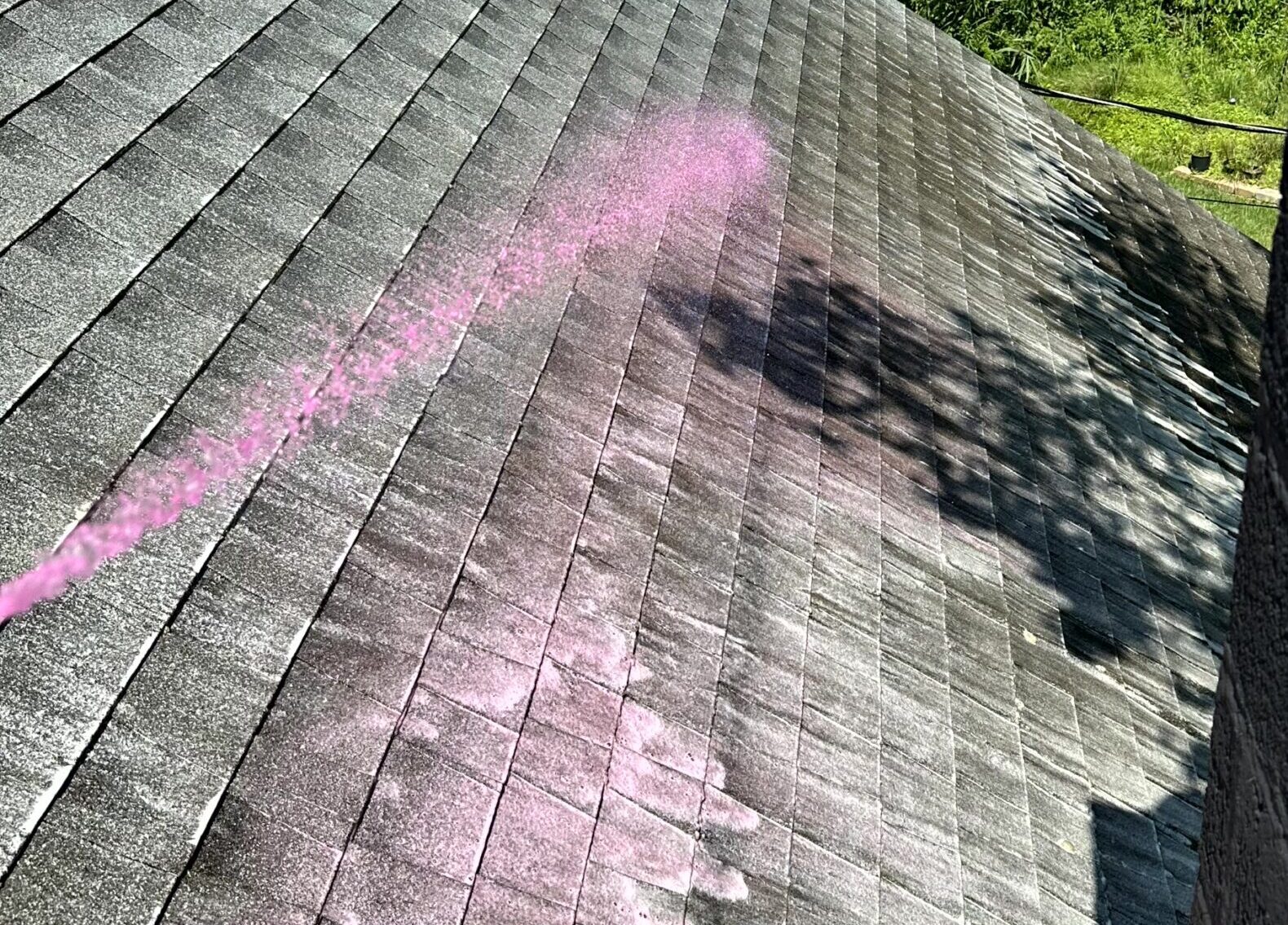 roof cleaning clifton park